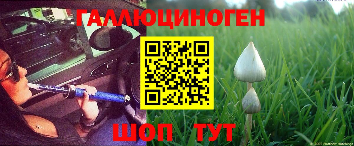 Калуга  Псилоцибиновые грибы ЛСД  Вход с VPN  Псилоцибиновые грибы прущие грибы 